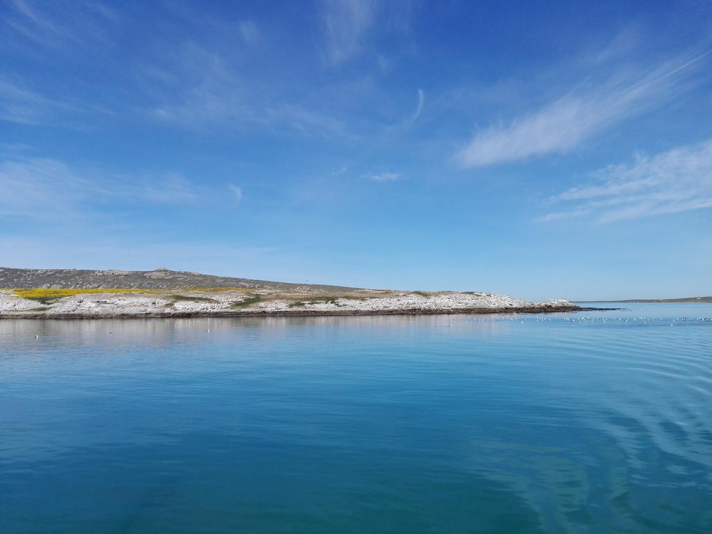 Due South Guest House Langebaan Bagian luar foto